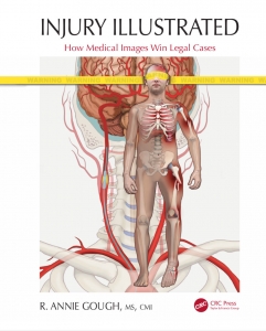 Injury Illustrated Book Cover
